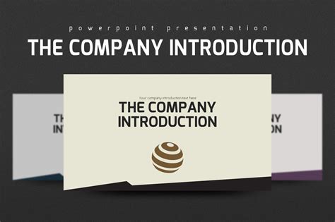 Company introduction